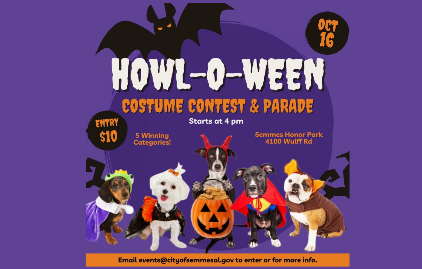 5 Fun DIY Howl-O-Ween Costume Ideas For Your Dog