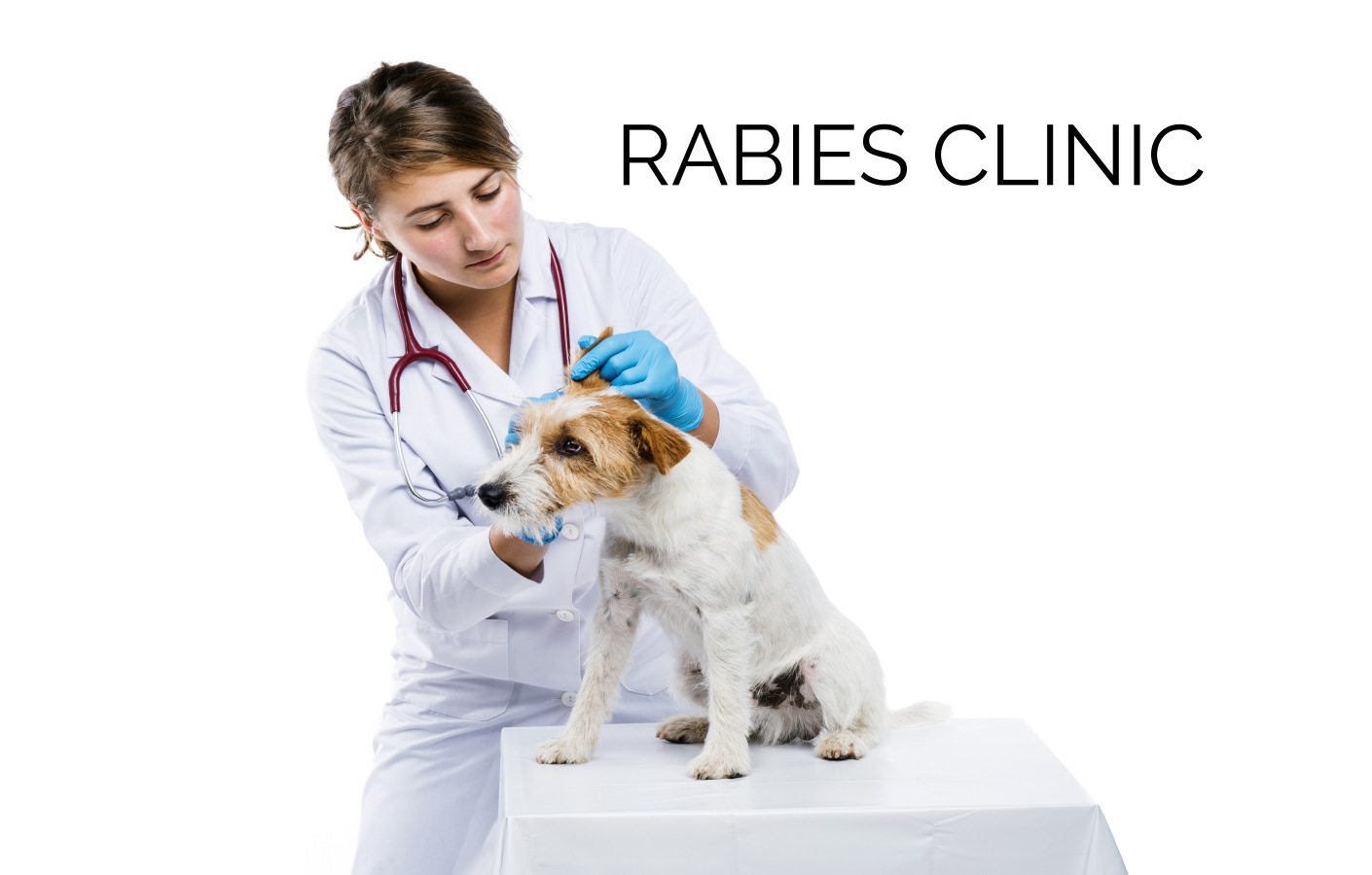 MOBILE COUNTY HEALTH DEPARTMENT RABIES CLINIC B&B PET STOP