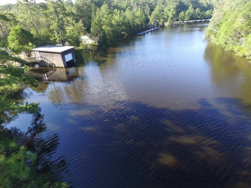 Gallery of Images of  River Delta Park